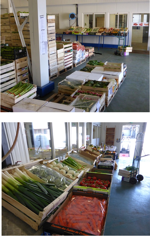 PRODUCTION 47 Sarl, Commerce de Gros de Fruits et Légumes et de tous produits agricoles
