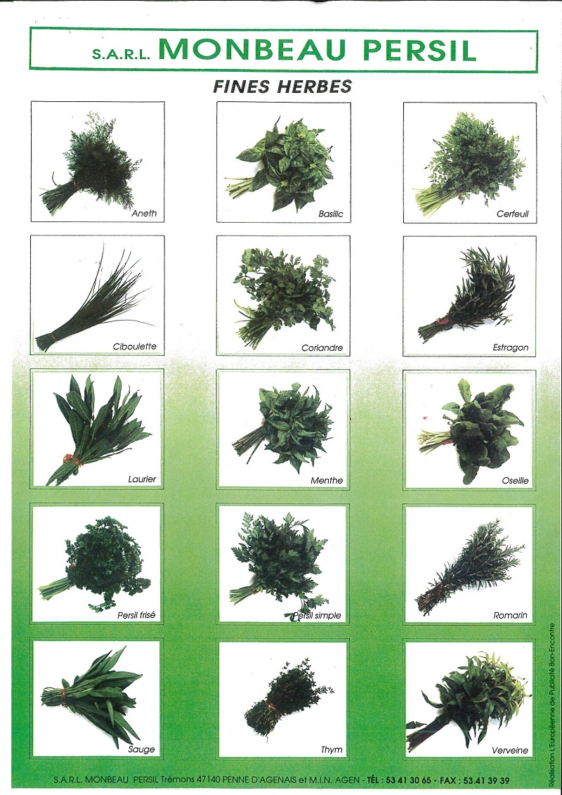 MONBEAU PERSIL Sarl, Vente de persil, fines herbes et plantes aromatiques